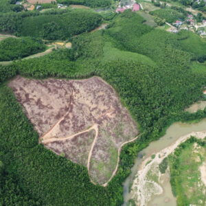 12HA ĐẤT VĂN MIẾU - PHÚ THỌ
