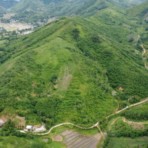8HA ĐẤT VĂN MIẾU - PHÚ THỌ