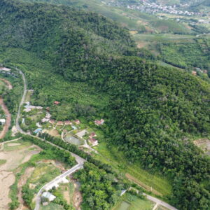 19HA BẢN CỐC - PHÚ THỌ